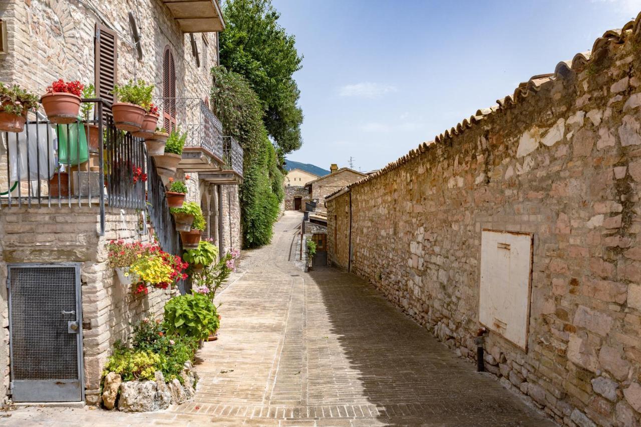 Casa de Férias Rustic House, Con Patio E Giardino, Centro Assisi